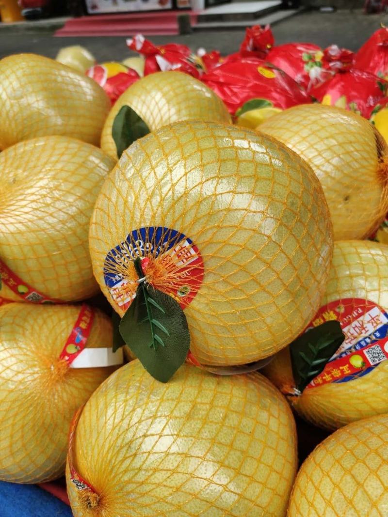 湖北宜昌西陵區白心蜜柚 產地直供，品質優價格美